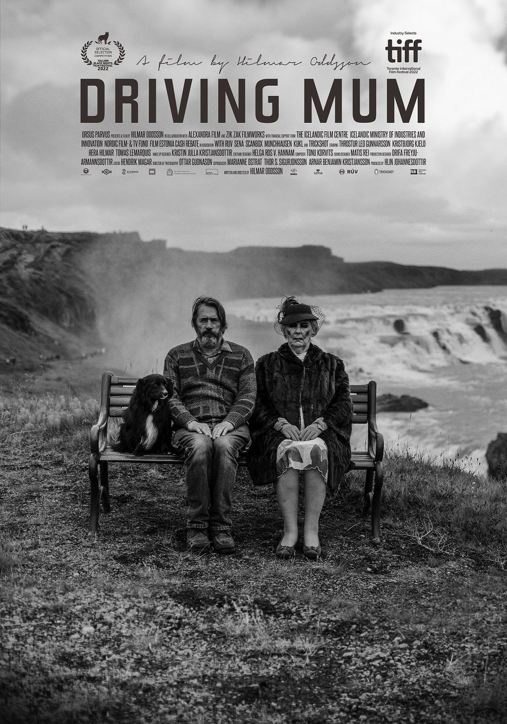 Poster al filmului "Driving Mum"