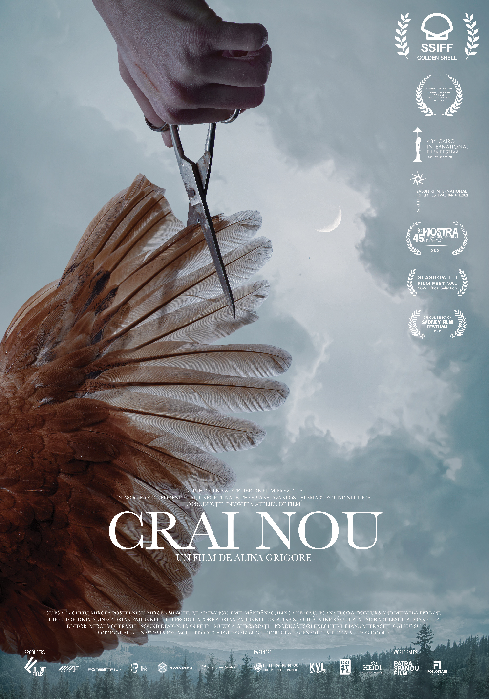 Poster al filmului "Crai Nou"