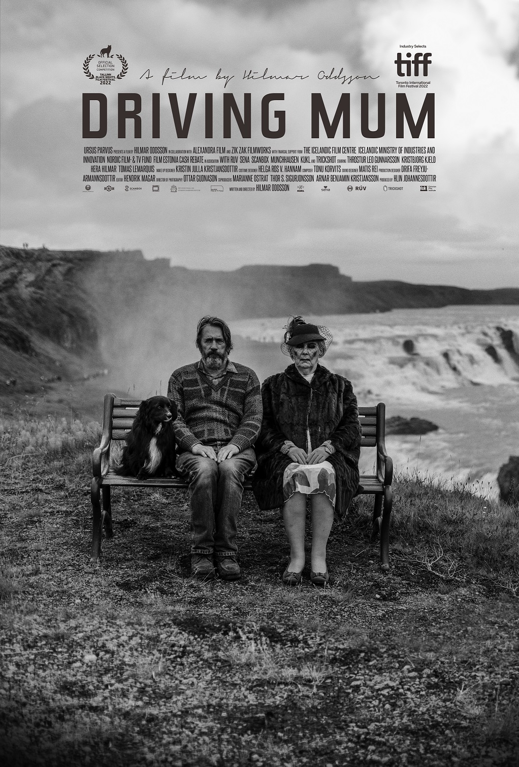 Driving Mum poster